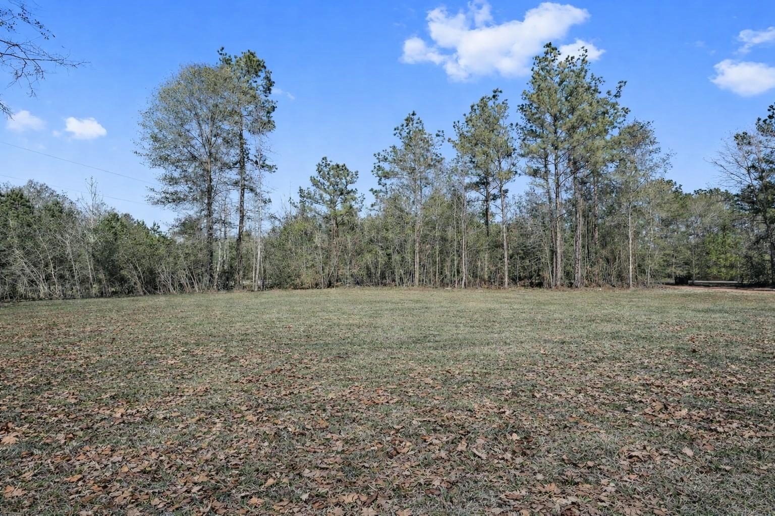 21202 Peach Wood