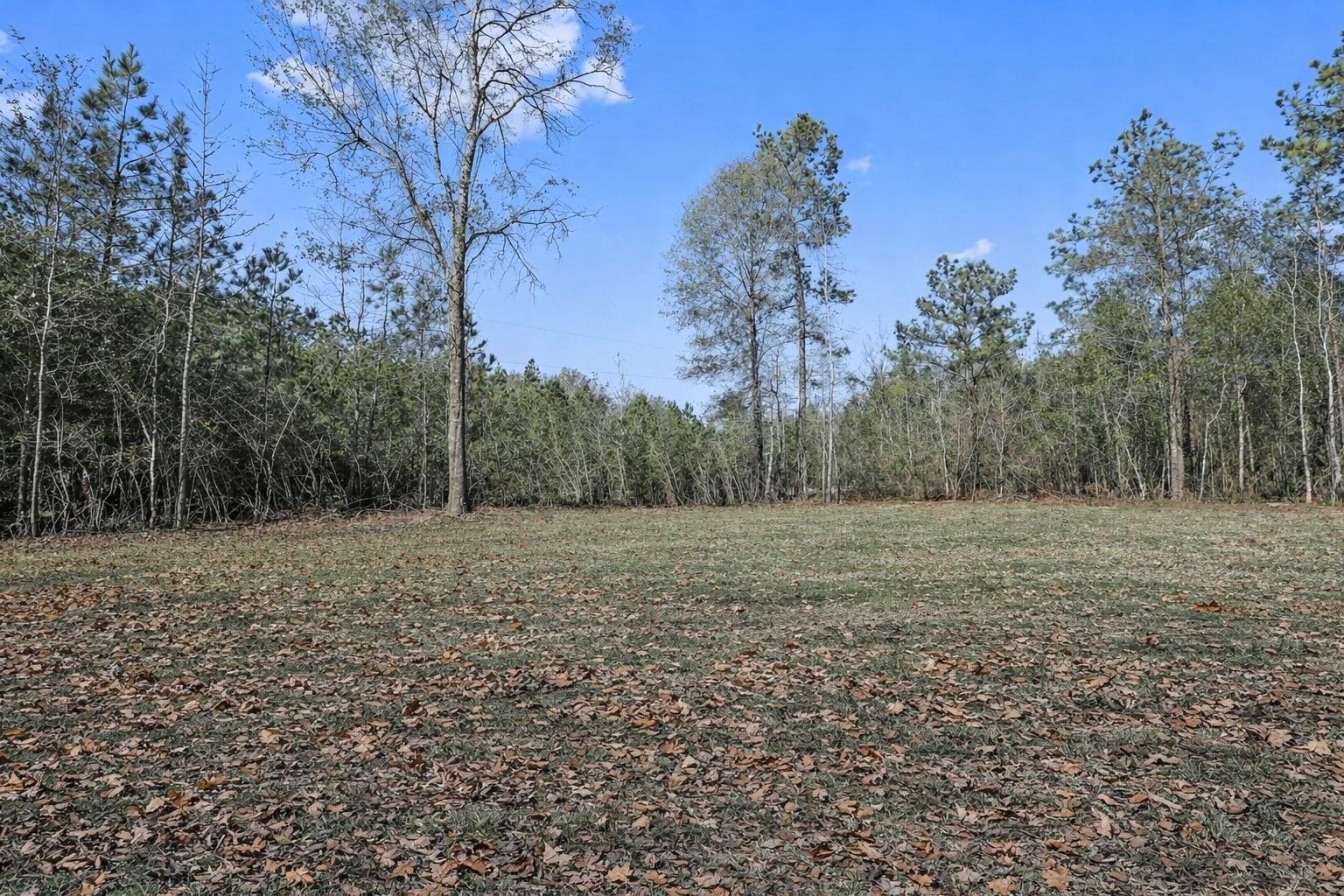 21202 Peach Wood