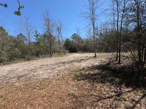 Vacant Land For Sale - 00 County Road 4180<br/> Houston County, Lovelady, TX 75851