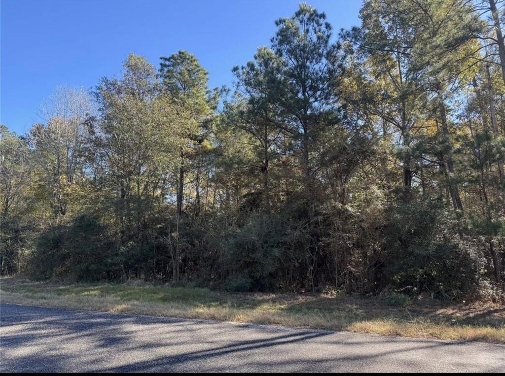 Photo of 172 Grand View, Huntsville, TX 77340 (MLS # 58232025)