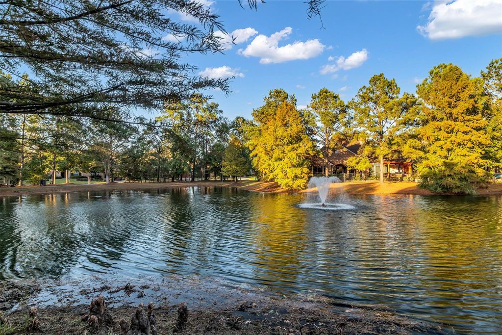 Photo of 10 Mason Pond Place, Spring, TX 77381 (MLS # 76897749)