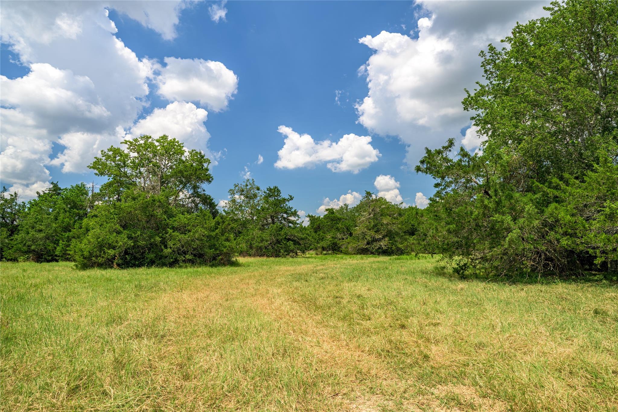 4900 Andreas Road