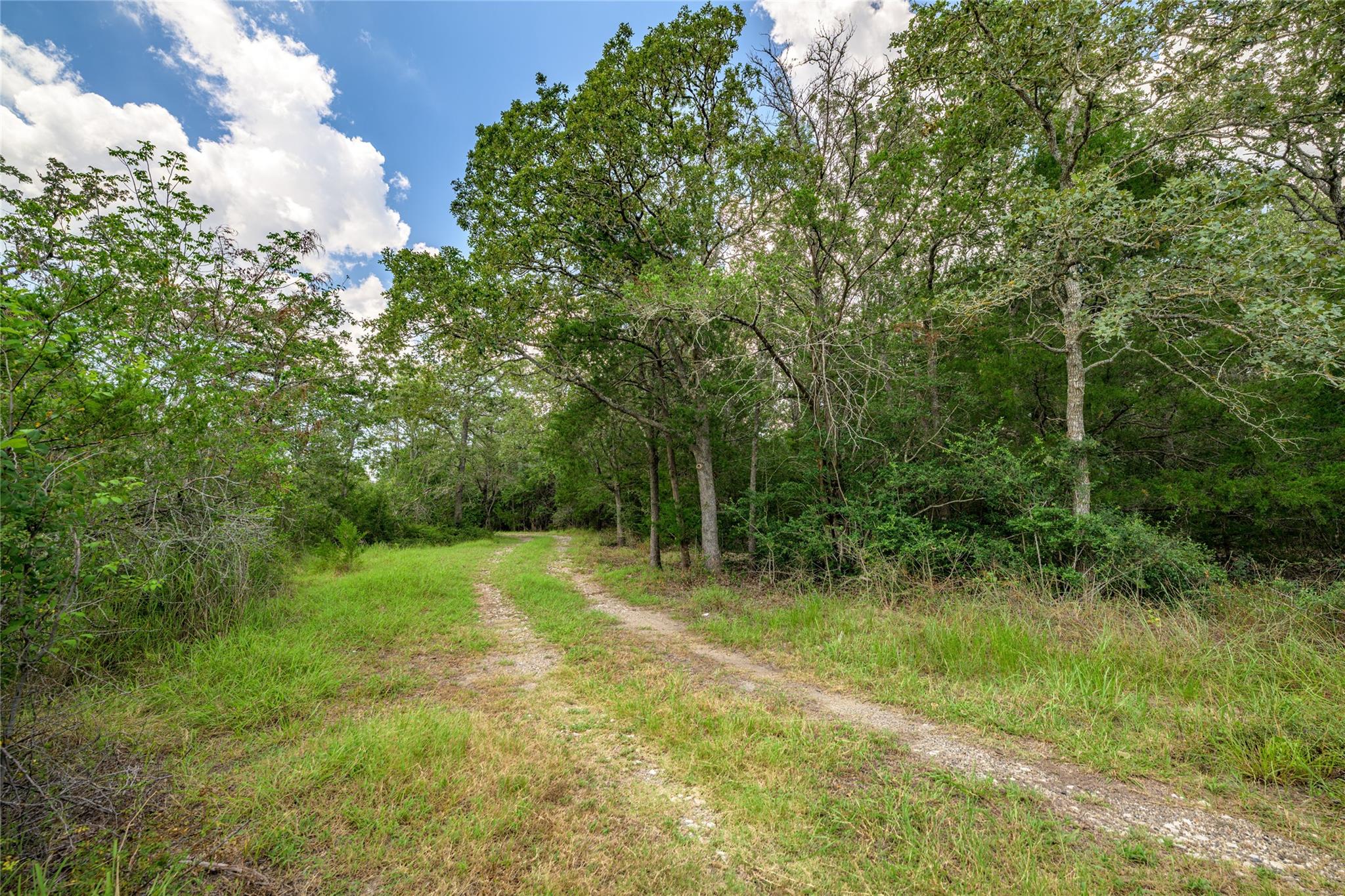 4900 Andreas Road