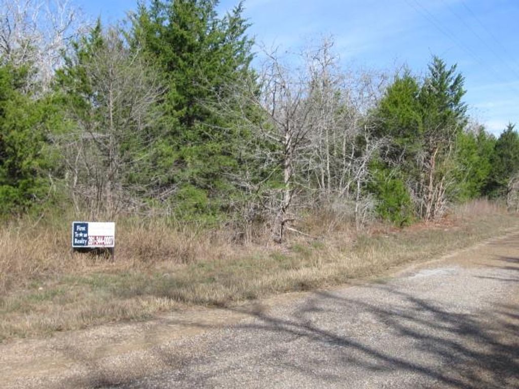 Photo of 100 Rainbow Circle, Somerville, TX 77879 (MLS # 20226970)