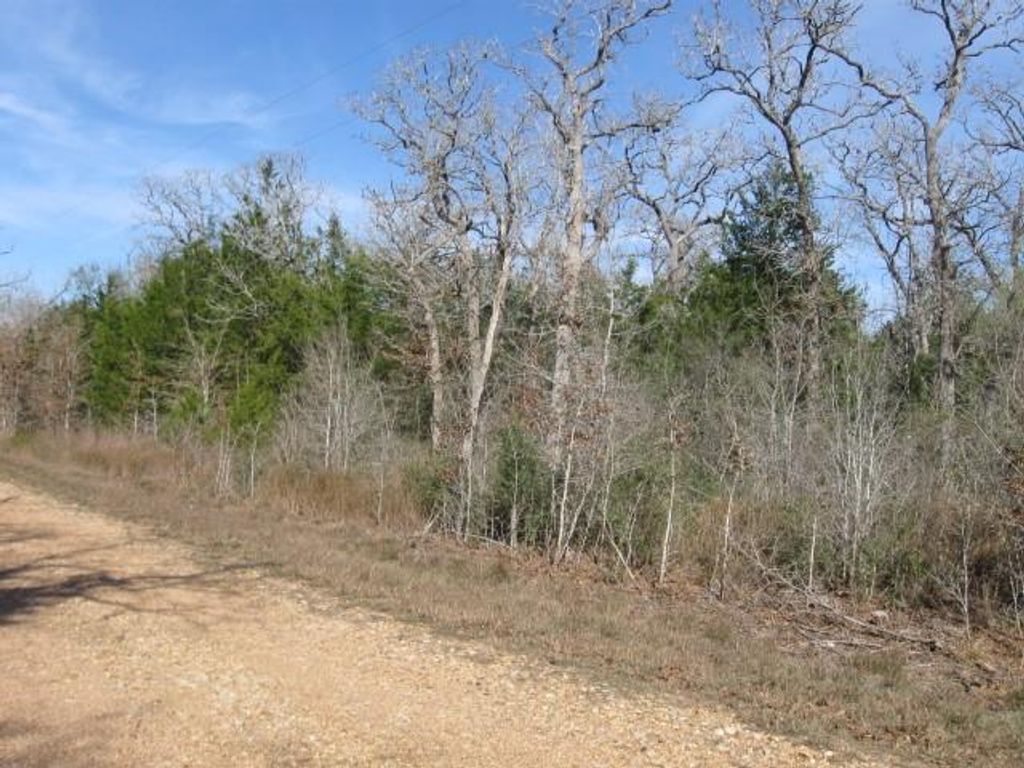 Photo of 100 Rainbow Circle, Somerville, TX 77879 (MLS # 20226970)