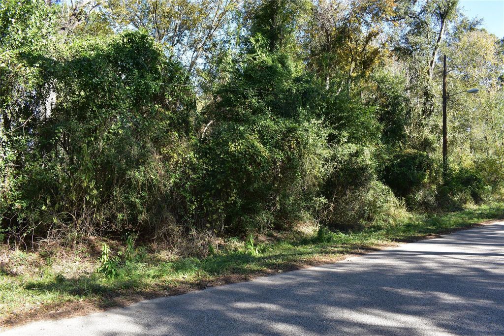 Photo of 3415 Evergreen Drive, Kingwood, TX 77365 (MLS # 14667138)