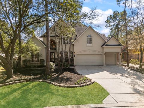 22 Day Lily Place The Woodlands TX 77381