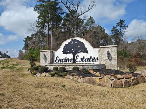 Photo of 88 County Road 6614, Dayton, TX 77535 (MLS # 58998762)