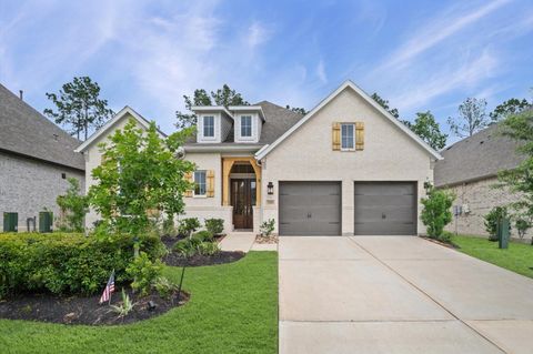 220 Lookout Ridge Drive Montgomery TX 77316