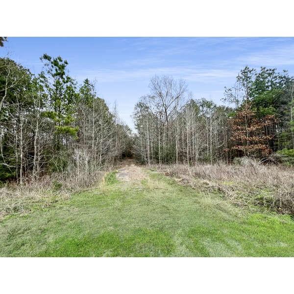 19571 Fm 1314 Road
