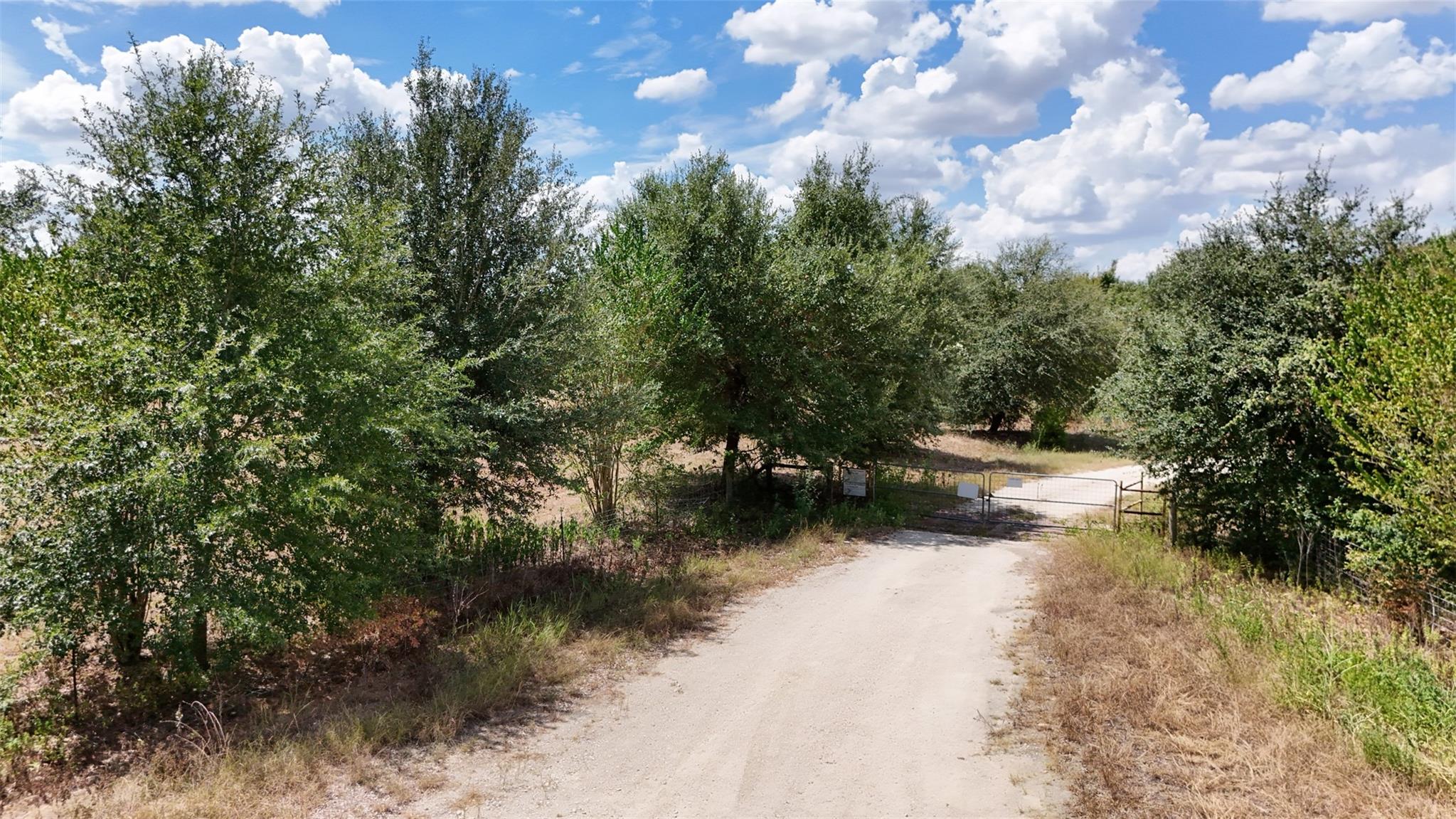 23.69 Acres Little Mississippi Cemetery Road