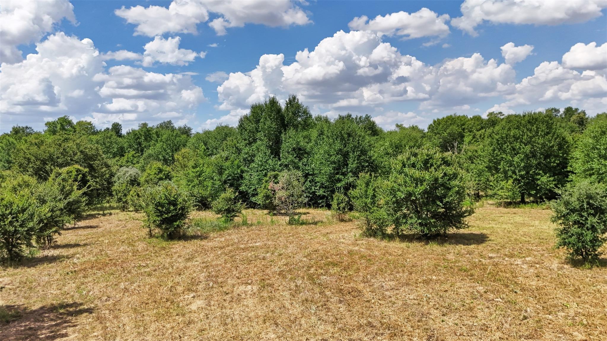 23.69 Acres Little Mississippi Cemetery Road