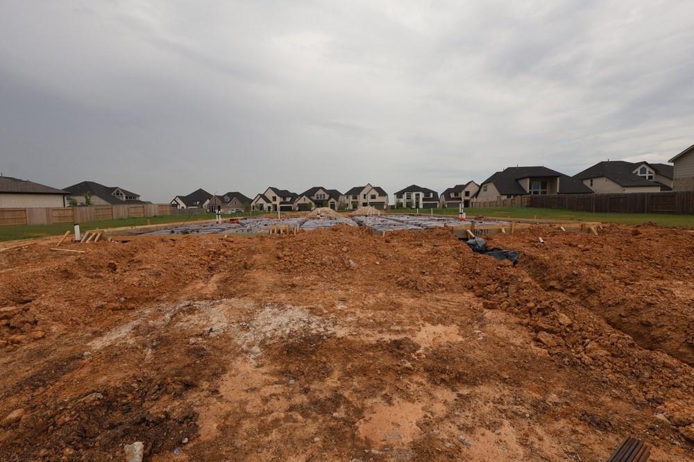 16211 Summer Aster Trail