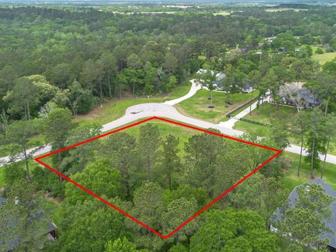 Photo of 8224 Cedar Trails Lane, Plantersville, TX 77363 (MLS # 30860593)