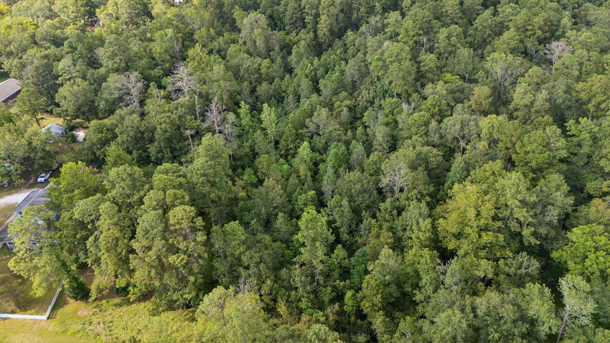 Photo 1 of 11 — 00 E West Street, Livingston, TX 77351