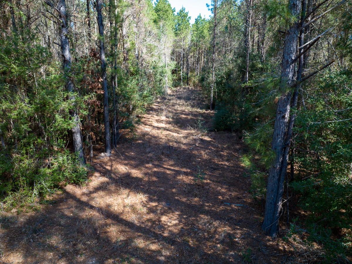 1 Lyons Cemetery Road