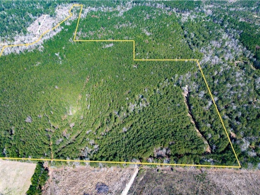 110 LYONS RD, MOSCOW, TX 75960 - Image a9e2f7cc68cbfeb6b6828b40abf642f4/546416152