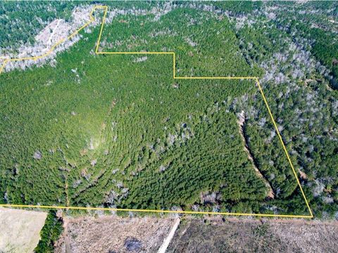 Vacant Land For Sale - 1 Lyons Cemetery Road<br/> Moscow, TX 75960