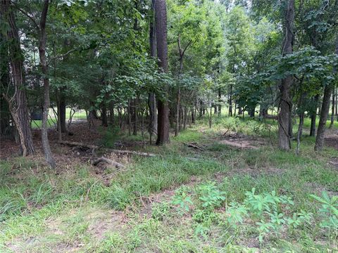 Photo of 219 Brook Hollow Drive, Huntsville, TX 77340 (MLS # 55743148)