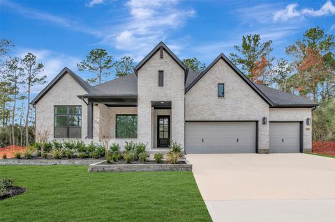 243 Nancy Lou Lane Willis TX 77318