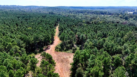 Photo of 6935 Us Highway 175 W W, Jacksonville, TX 75766 (MLS # 90192638)