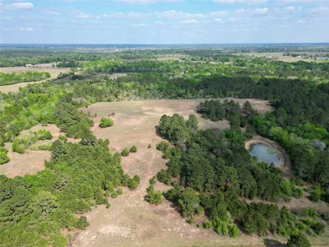 Vacant Land For Sale - TBD County Road 408<br/> Navasota, TX 77868
