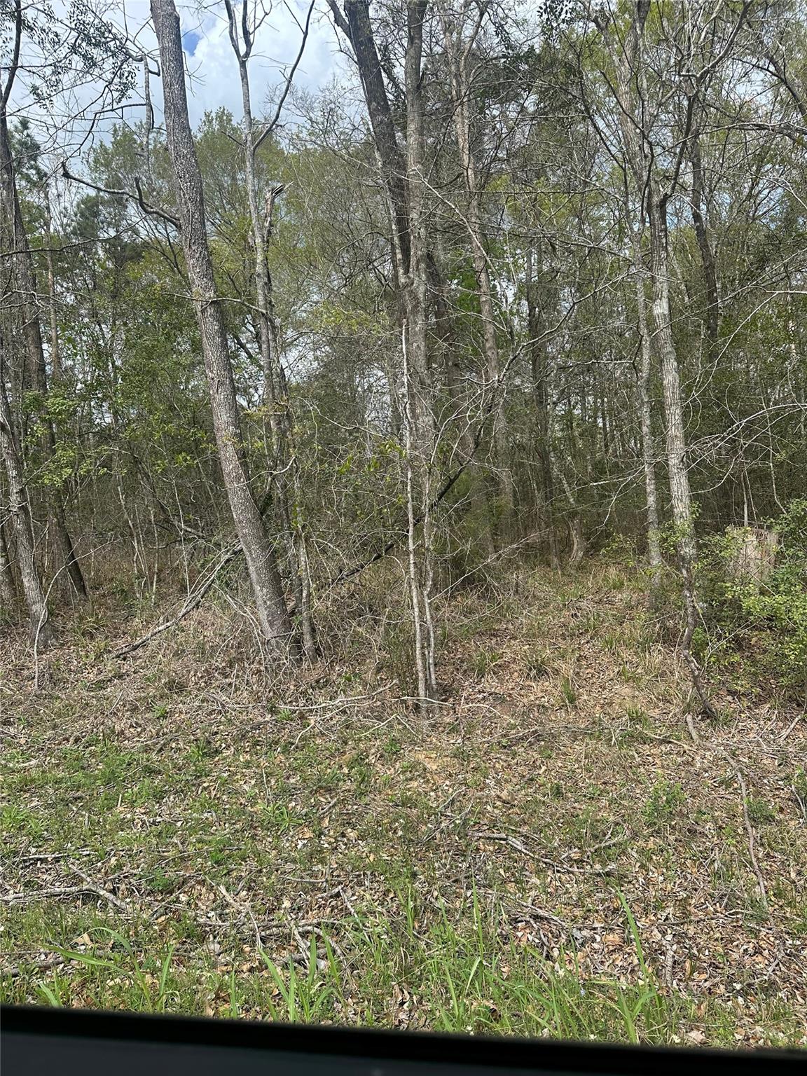 00 Cedar Valley Drive