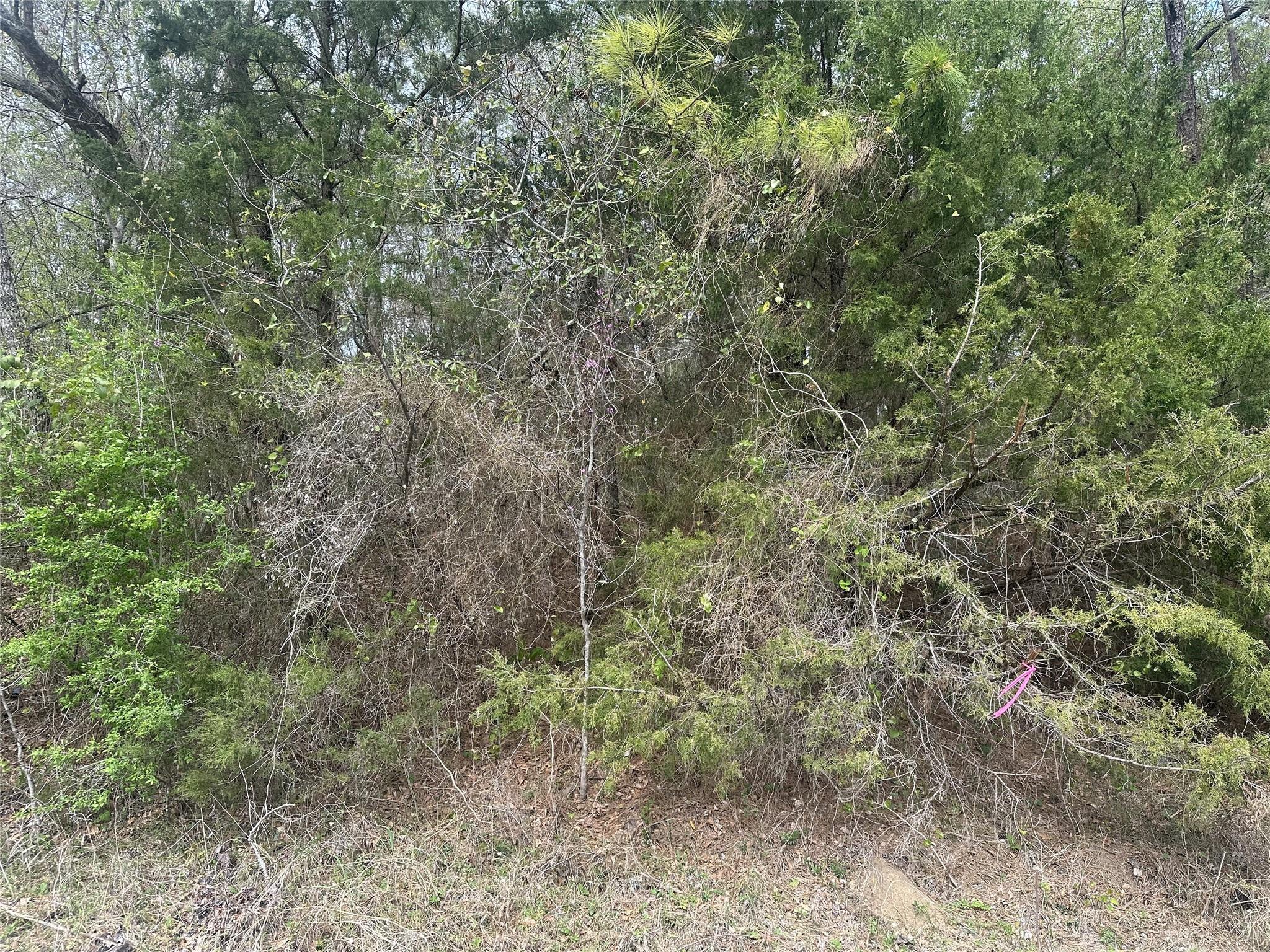 00 Cedar Valley Drive