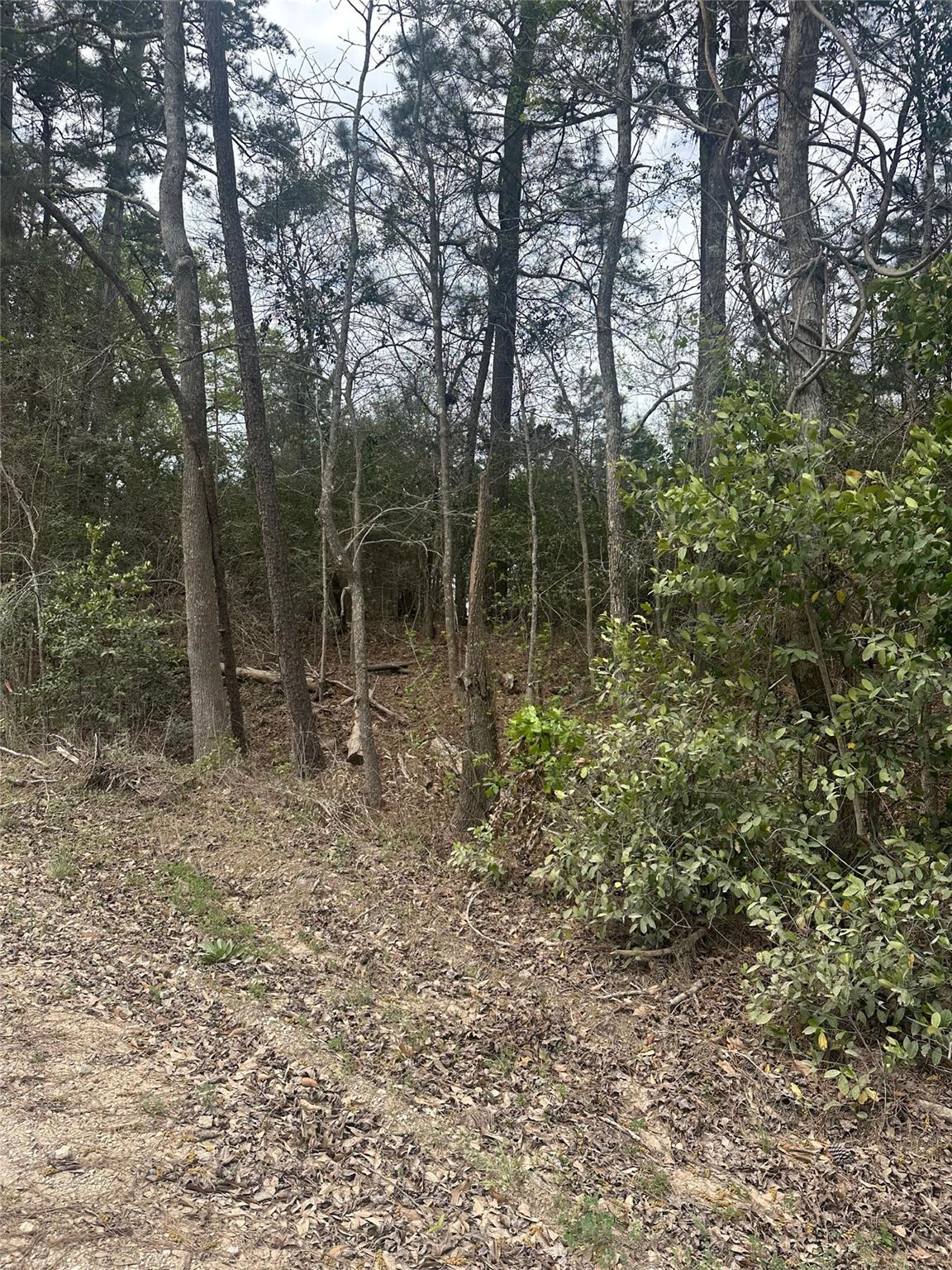 00 Cedar Valley Drive