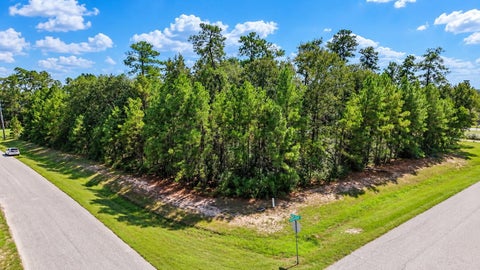 Photo of 27414 Sgt Taylor Memorial, Spring, TX 77386 (MLS # 67301063)