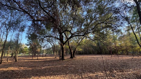 Photo of TBD Fm 1791, Richards, TX 77873 (MLS # 48039783)