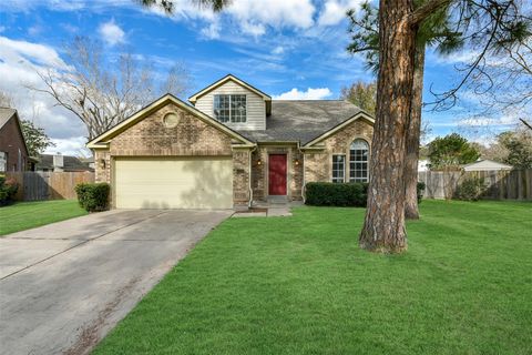 1315 Teal Glen Court Houston TX 77062