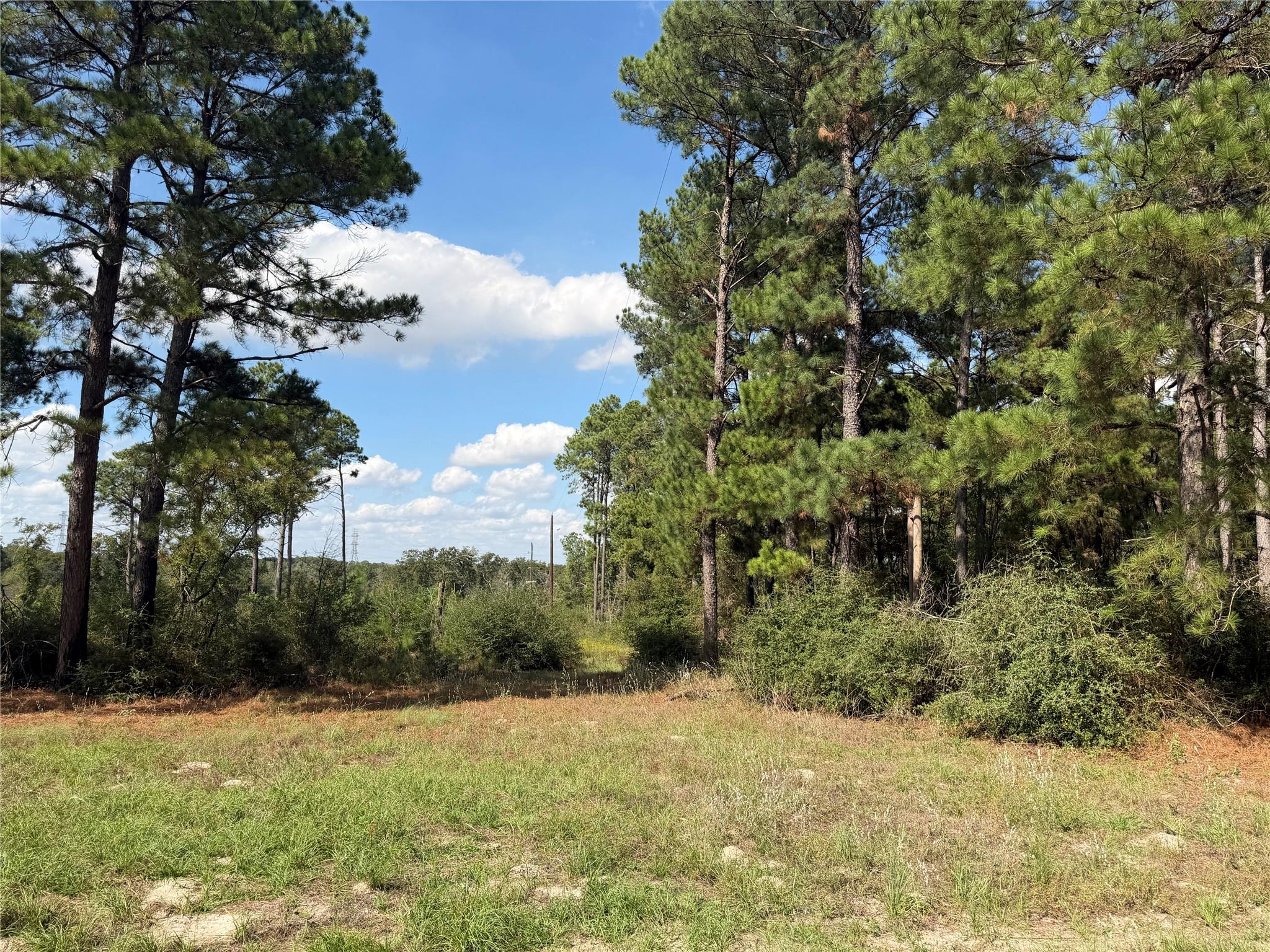 14234 Highway 90 N