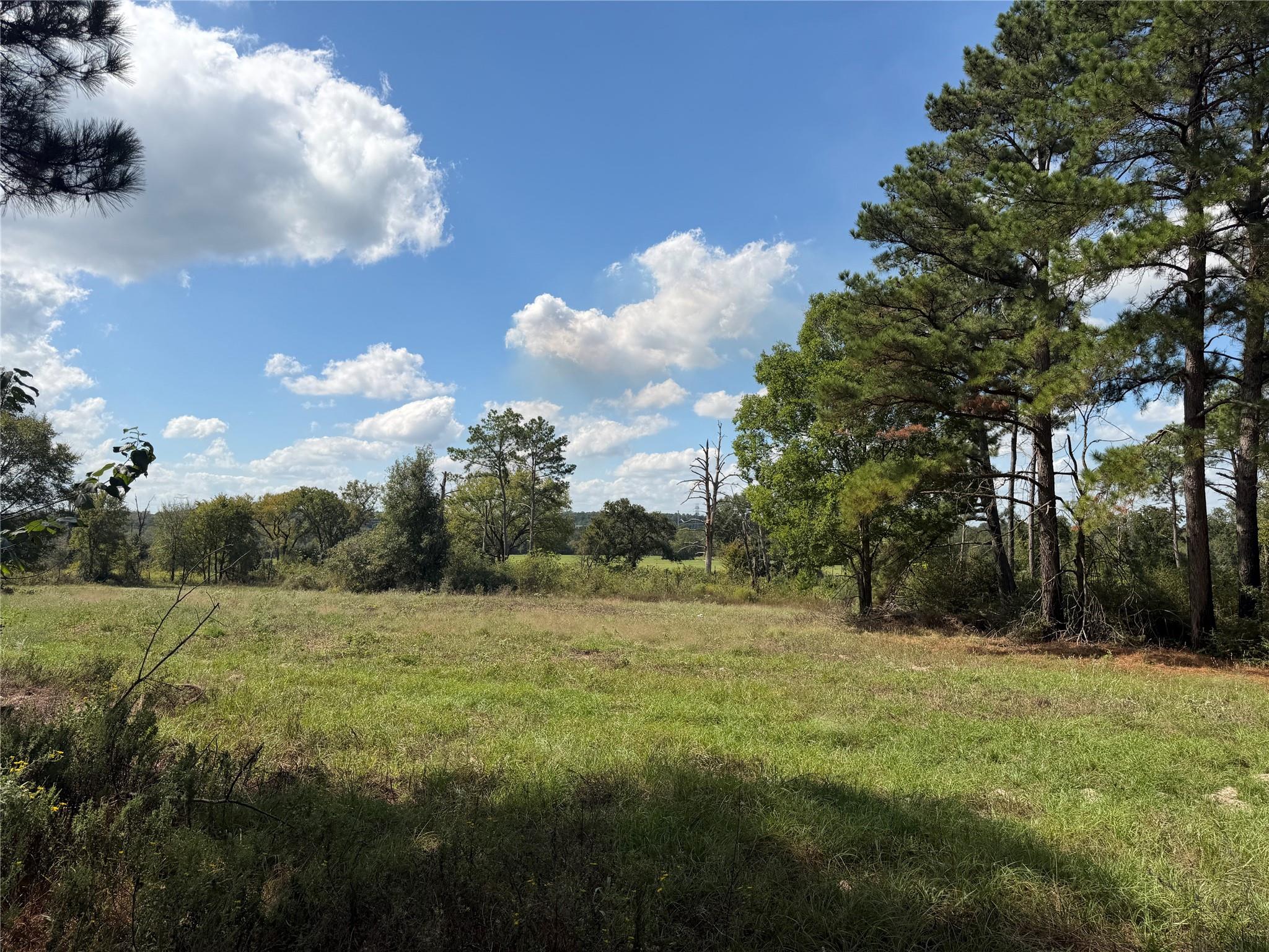 14234 Highway 90 N