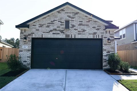 Photo of 247 Brazen Forest Trail Trl, Magnolia, TX 77354 (MLS # 44611196)