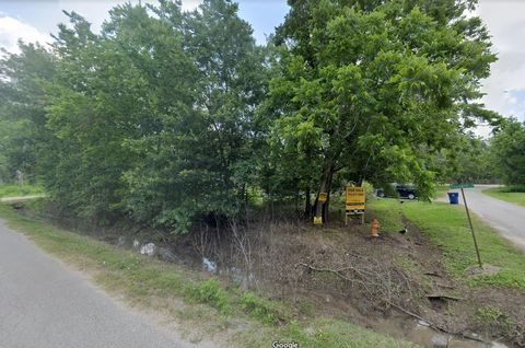 Photo of 0 Penguin Lane, Holiday Lakes, TX 77515 (MLS # 80401818)