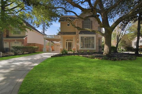 2 Wild Aster Court The Woodlands TX 77382