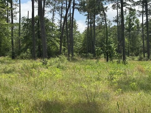 Photo of 11 Private Road 6028, Brookeland, TX 75931 (MLS # 32775971)