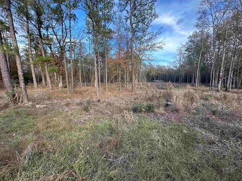 Photo of 10499 County Road 701, Buna, TX 77612 (MLS # 10719135)