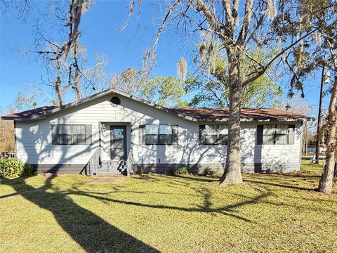 Photo of 210 N Mattson Street, West Columbia, TX 77486 (MLS # 31868965)