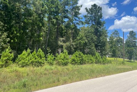 Photo of 181 Sky Oak Lane Lane, Huntsville, TX 77340 (MLS # 60617072)