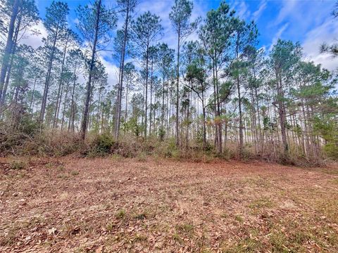 02 Fm 1005 Jasper TX 75951