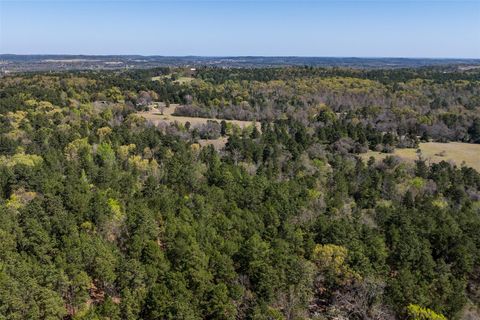 Photo of 0 County Road 478, Larue, TX 75770 (MLS # 9471274)