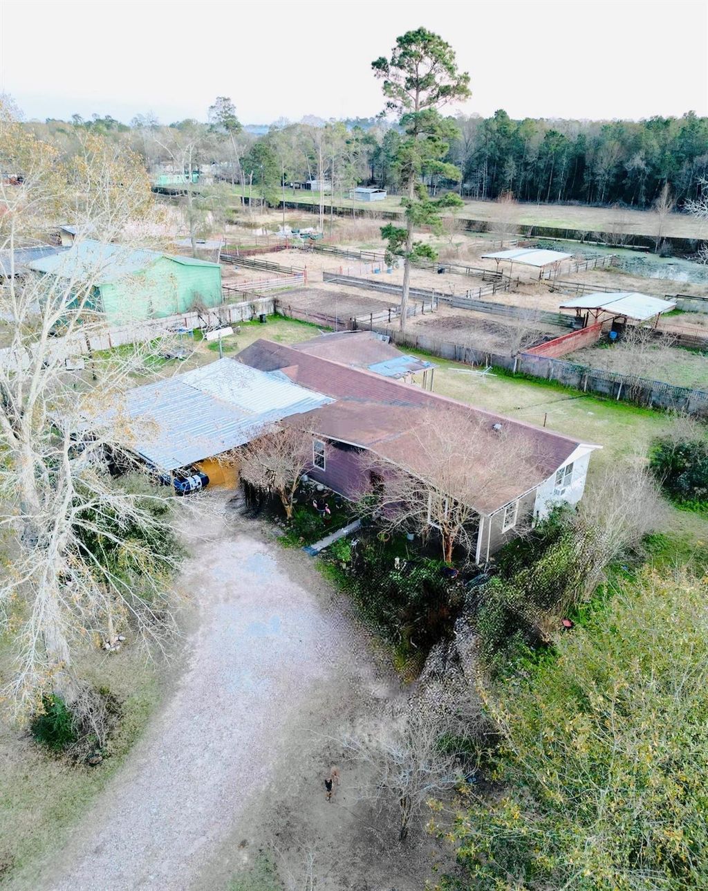 Photo of 19085 Oak Hill Lane, Porter, TX 77365 (MLS # 87399822)