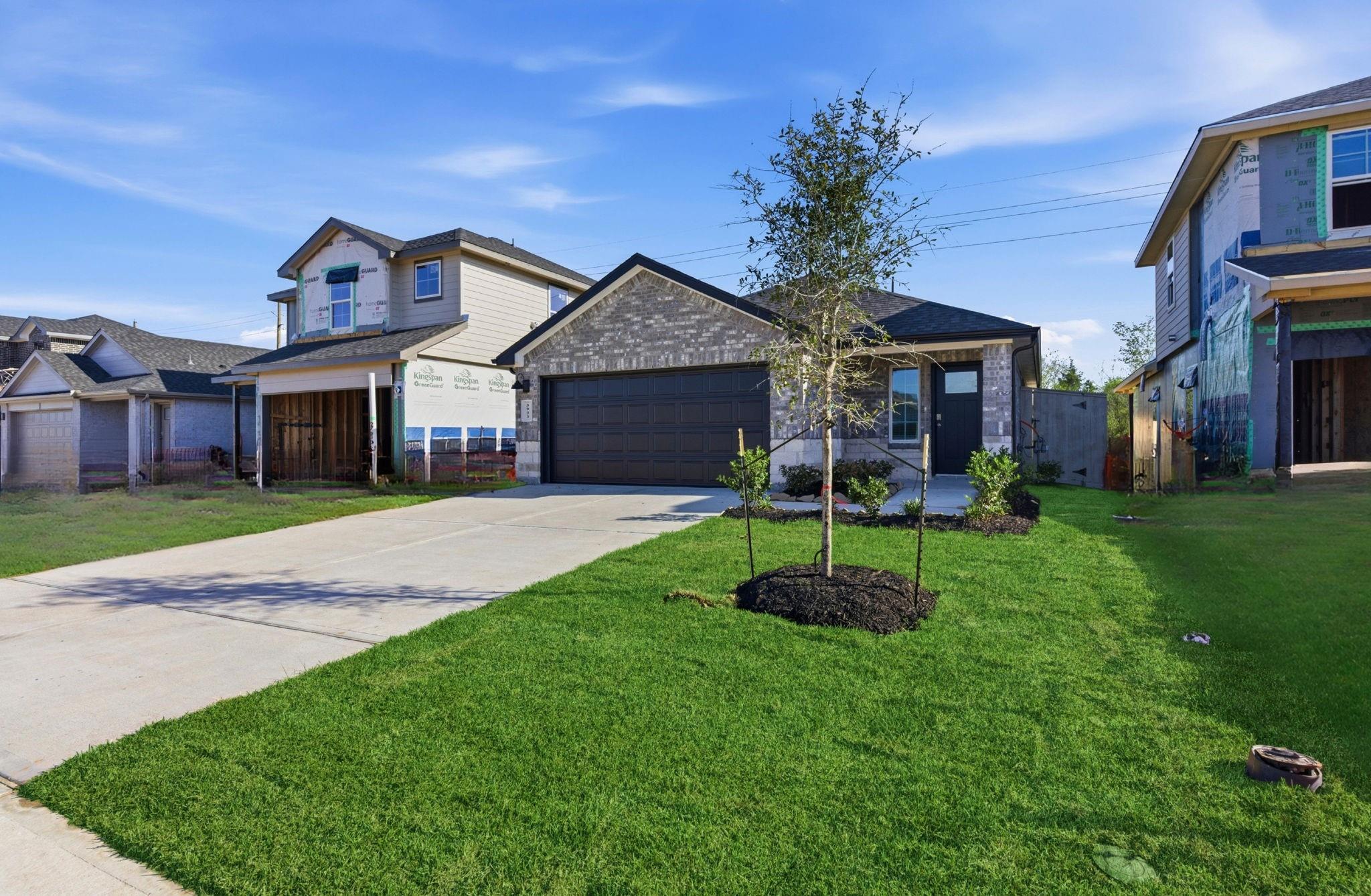 3405 Wild Mustang Street