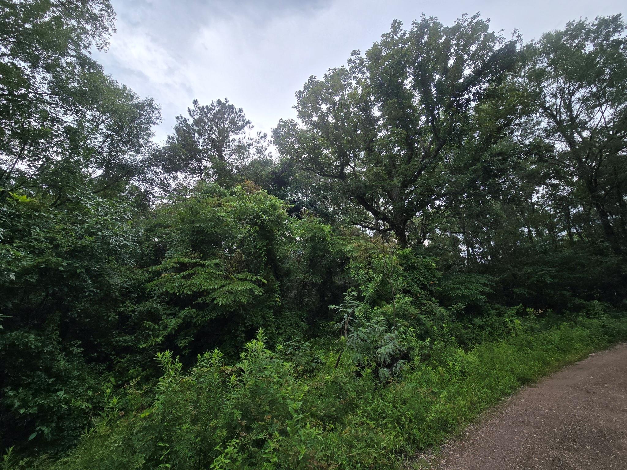 134 Road 3774