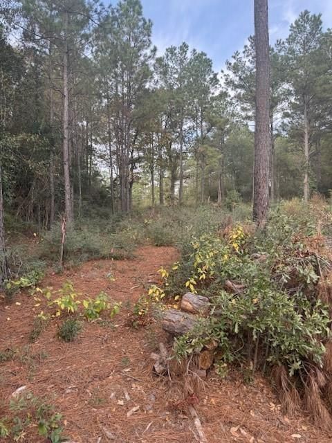 Photo of 0 Basswood Lane, Plantersville, TX 77363 (MLS # 81917827)