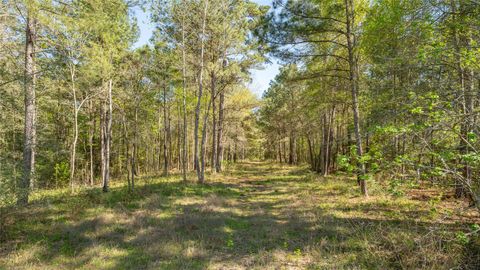 Photo of 0 Bighorn Road, Huntsville, TX 77358 (MLS # 24114637)