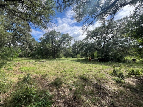 Photo of 3500 Fm 1579, Schulenburg, TX 78956 (MLS # 74144069)