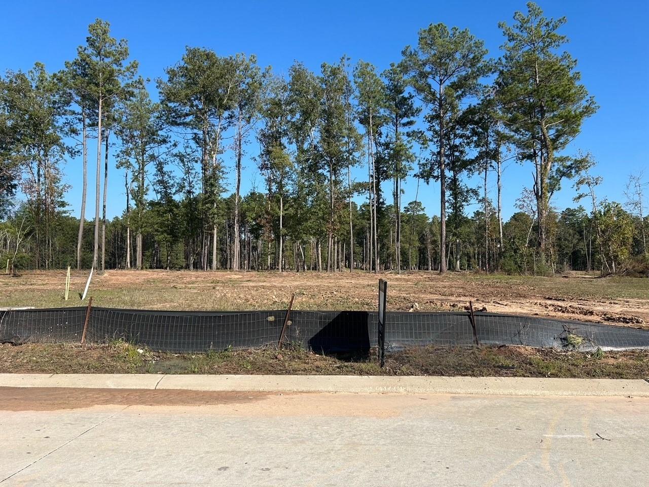 22017 Gateway Arch Drive